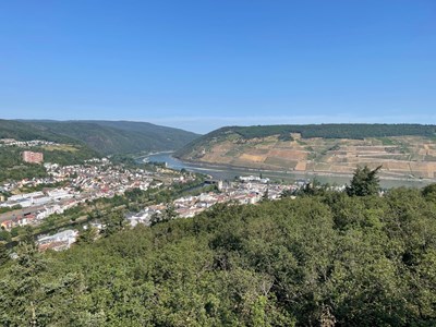 Blick vom Rochusberg ins Rheintal