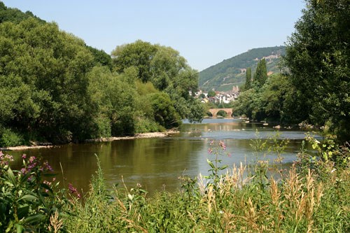 Nahe bei Bingen