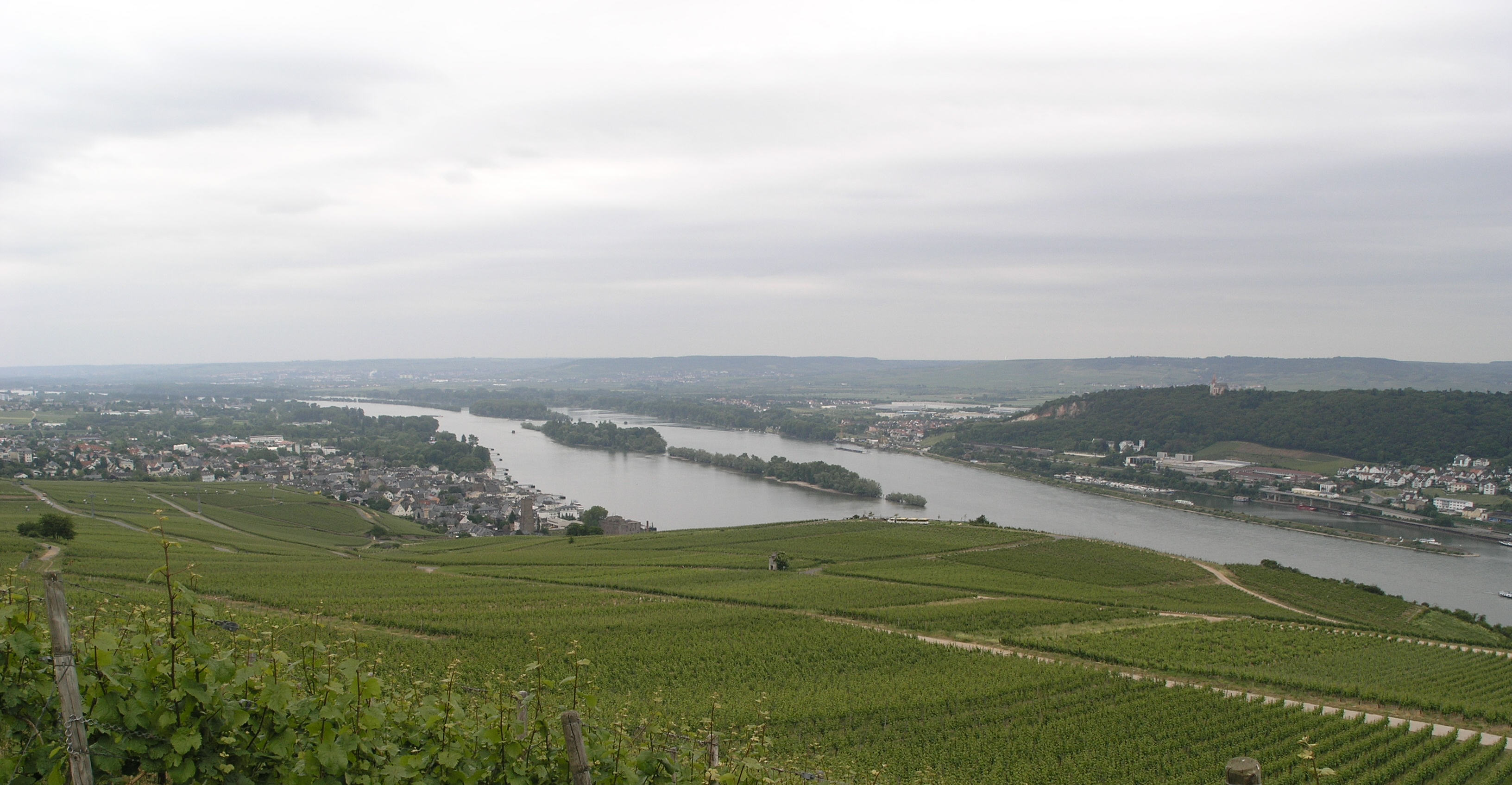 Oberrhein bei Bingen  |  Quelle: Thomas Merz