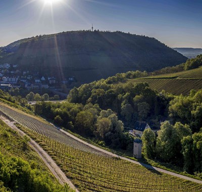 Panorama von Weiler aus, Quelle Stadt Bingen, Foto Torsten Silz