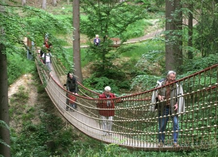 Hängebrücke im Binger Wald